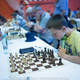 Šahovski turnir: 19. Memorial Vasje Pirca